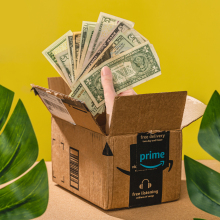 plants and a box with money