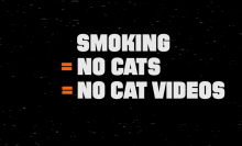 #Catmageddon commercial presents terrifying possibility of an Internet without cats