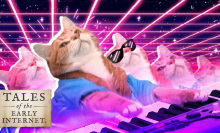 The legend of Keyboard Cat: How a man and his cat(s) won the internet lottery