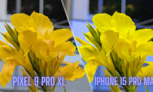 Split image of two pictures of yellow flowers