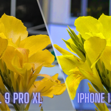 Split image of two pictures of yellow flowers