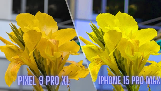 Split image of two pictures of yellow flowers