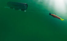 Add some excitement to your fishing trip with this underwater camera