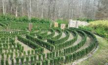 The mysterious hedge maze from 'S-Town' is falling apart, and it's too sad to handle