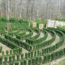 The mysterious hedge maze from 'S-Town' is falling apart, and it's too sad to handle