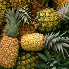 Lots of pineapples