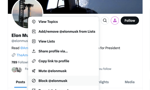 A screenshot of Elon Musk's X profile. The drop down menu is displayed and the cursor hovers over the "Block @ElonMusk" button.