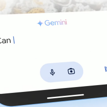 A Google Gemini prompt on a Pixel Phone with the word "can"