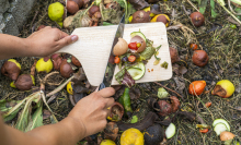 A simple beginner's guide to composting