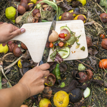 A simple beginner's guide to composting