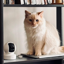 cat sitting on bookshelf beside security camera 