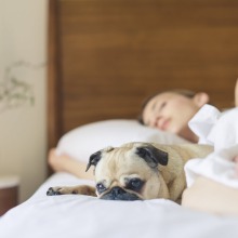 Trick your brain into falling asleep faster with this white noise machine that's on sale