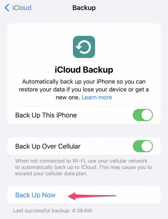 Manual Backup