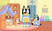 Bandit plays with Bingo and Bluey in "Surprise!"