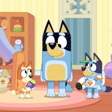 Bandit plays with Bingo and Bluey in "Surprise!"