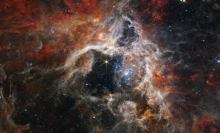 the Tarantula Nebula 