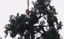 Seattle's 'Man in tree' siege ends after more than 24 hours