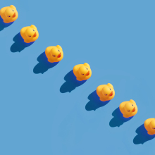 Yellow rubber ducks in a line on blue background.