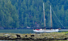 Where Human Meets Nature: The importance of protecting Canada’s natural beauty