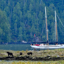 Where Human Meets Nature: The importance of protecting Canada’s natural beauty