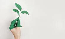 Five steps you can take today to make your office more sustainable 