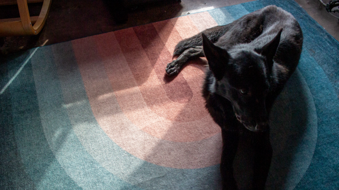 ruggable rug and dog