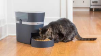 cat eating from pet safe automatic feeder