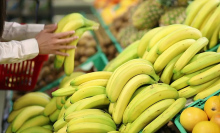 Bye-bye, Bitcoin. It's all about bananacoins.