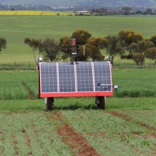 Groundbreaking, farm-loving robots could change the future of agriculture