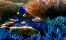 A new 'Finding Dory' trailer just keeps swimming straight into your heart