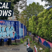 A split-screen shows two photographs of a construction hoarding – before and after the vertical meadow grew on it. Caption reads: "Vertical meadows"