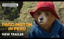 Paddington Bear in Peru.