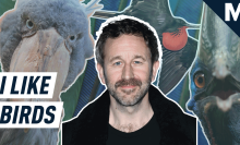 Chris O’Dowd wings it by telling bird jokes for 5 minutes