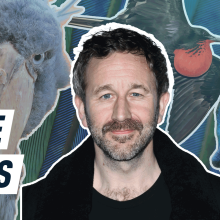 Chris O’Dowd wings it by telling bird jokes for 5 minutes