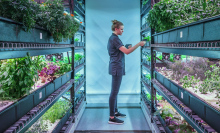 This underground New York City farm grows rare edible plants for high-end restaurants — What's in the Basement?