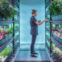 This underground New York City farm grows rare edible plants for high-end restaurants — What's in the Basement?