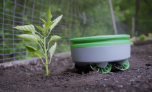 This little robot is like a Roomba for your garden