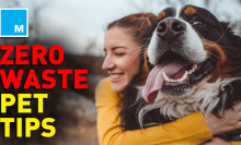 6 ways you and your pets can reduce waste