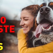 6 ways you and your pets can reduce waste