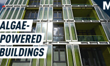 Living algae facades cover buildings, sucking in CO2 and sun to produce renewable energy