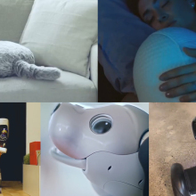 These 5 helpful robots want to be your new best friend