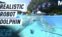 These hyper-real robotic dolphins could replace captive dolphins in shows — Future Blink