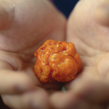 A chicken nugget rests in a man's hands.