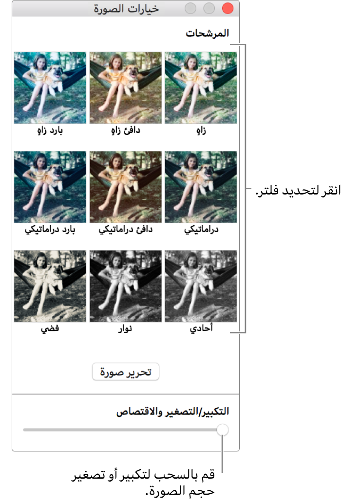 نافذة خيارات الصور مع شريط تمرير التكبير/التصغير والاقتصاص في الجزء السفلي وخيارات المؤثرات في الجزء العلوي.