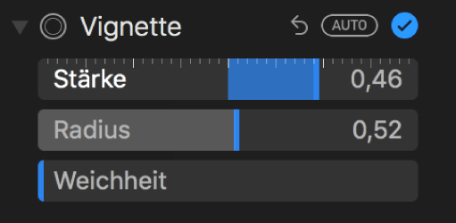 Steuerungen „Vignette“ im Bereich „Anpassen“