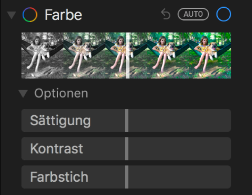 Die im Bereich „Anpassen“ unter „Farbe“ angezeigten Regler sind: Sättigung, Kontrast und Farbstich.