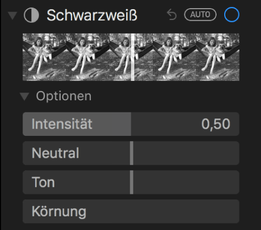 Die im Bereich „Anpassen“ unter „Schwarz/Weiß“ angezeigten Regler sind: Intensität, Neutral, Ton und Körnung.