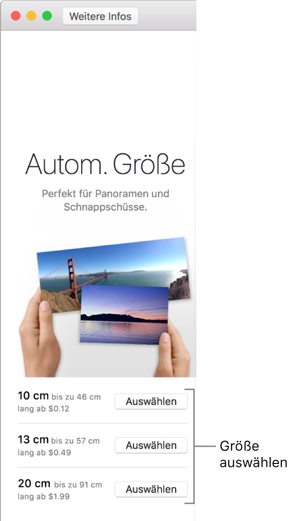 Fenster mit Größenoptionen für das Druckformat „Autom. Größe“