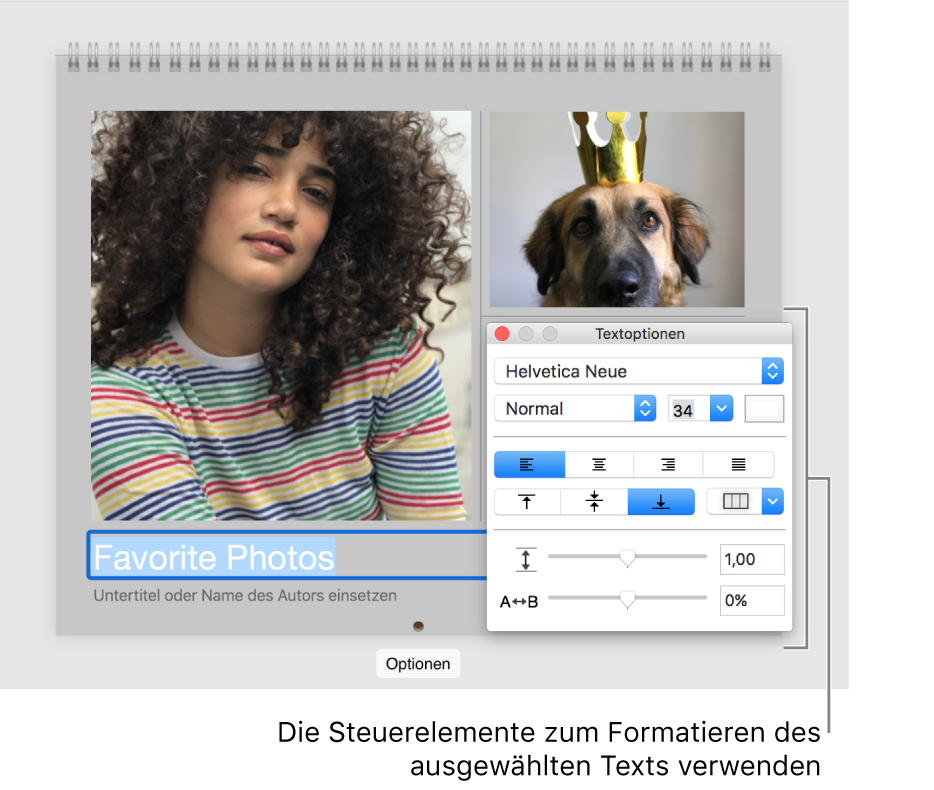 Ein Foto mit ausgewähltem Text darunter und dem Fenster „Textoptionen“ rechts.