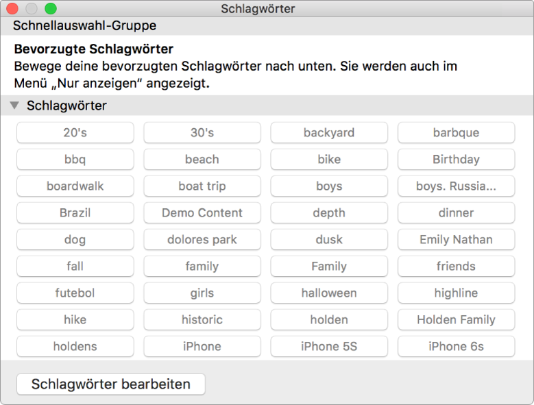 Fenster „Schlagwortmanager“